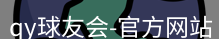 qy球友会